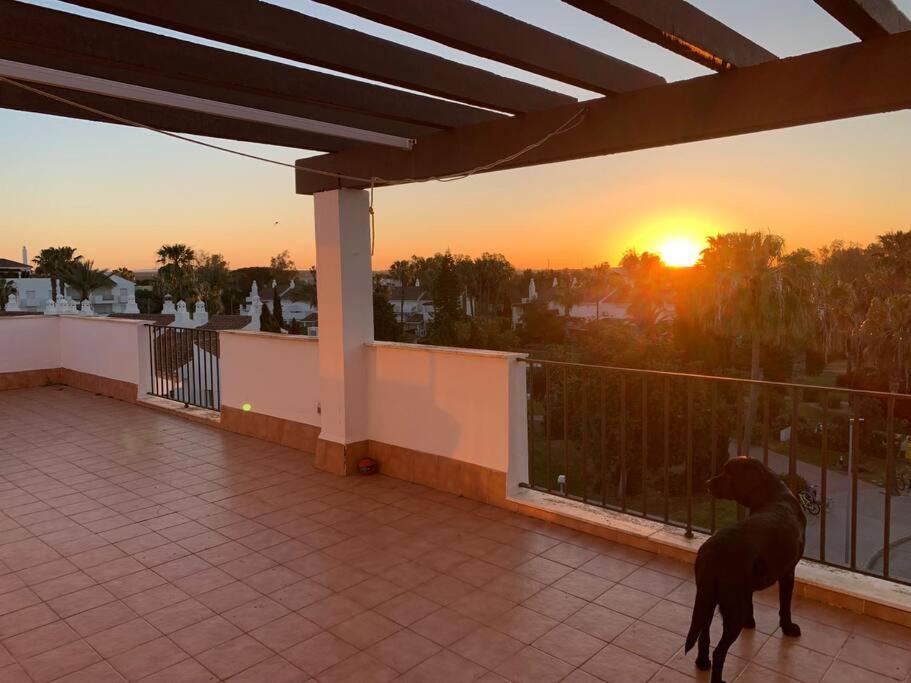 Atico Costa Ballena - Cadiz Apartamento Rota